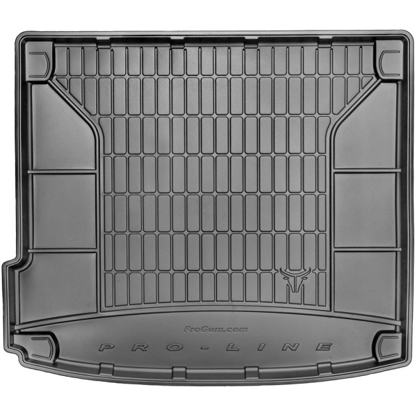 Rubber trunk mat Proline BMW X6 E71 2008-2014